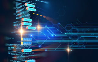 从通信圈到互联网 网络技术标准的第三重境界